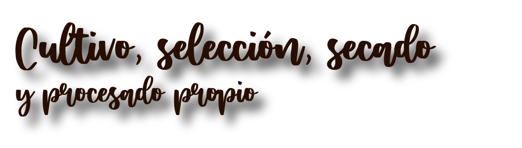 Cultivo, selección, secado y procesado propio
